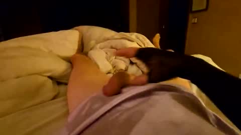 silky sissy sarah online show from 04.06.26