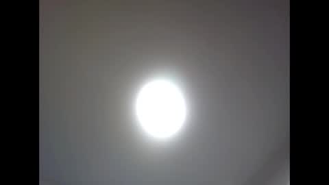 bonop1 online show from 04.02.26