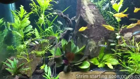 Booker Baxton online show from 01.05.25