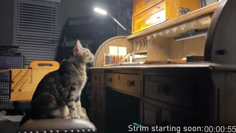 Booker Baxton online show from 01.09.25