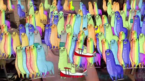 Booker Baxton online show from 01.15.25