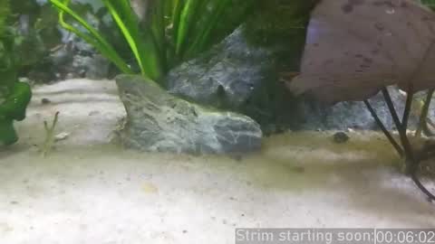 Booker Baxton online show from 03.12.25