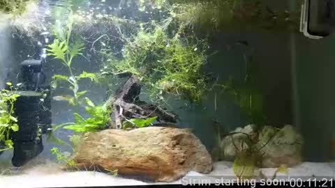 Booker Baxton online show from 09.21.25