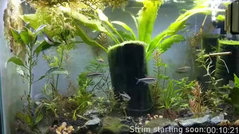 Booker Baxton online show from 09.23.25