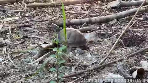 Booker Baxton online show from 04.09.26