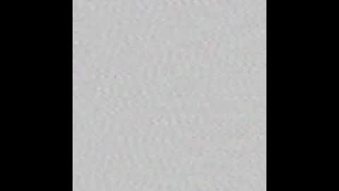 booty_chaser online show from 11.30.25