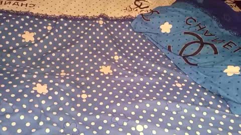 bossetassy online show from 12.16.25