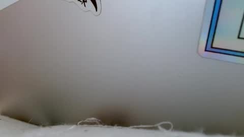 Snapshot of bottom_boiz chatting on 12.18.24 Rue online show from 12.18.24