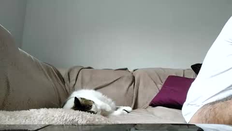 Dan online show from 04.15.26