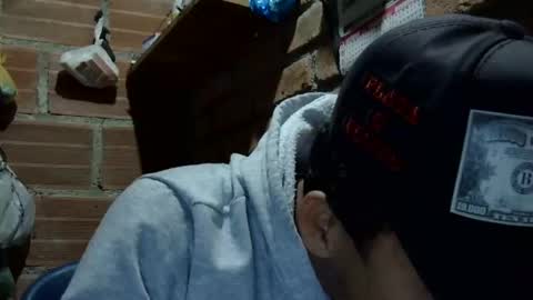 Boy online show from 11.01.25