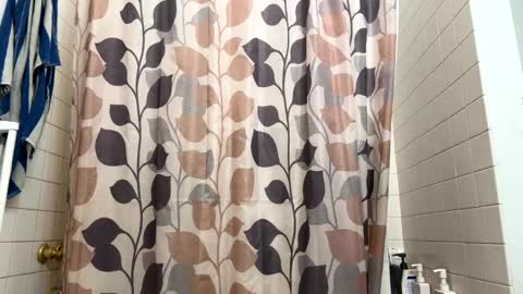 boysetsfire34 online show from 01.09.25