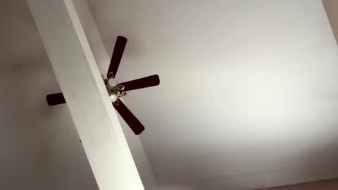 boysetsfire34 online show from 11.08.25