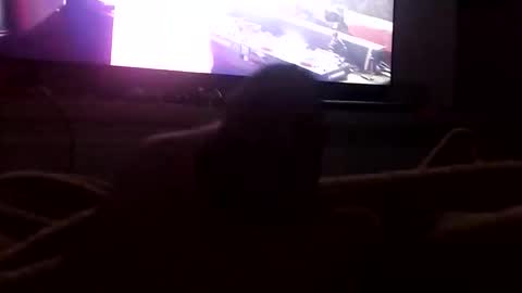 Snapshot of boytop696 chatting on 10.12.25 Boytop online show from 10.12.25