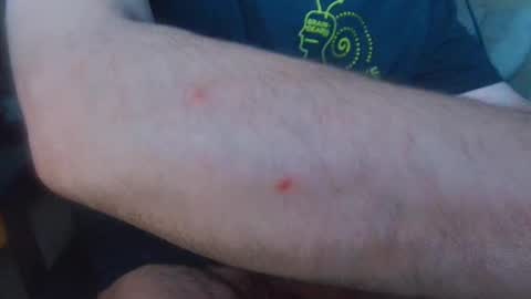 brainrrawtt online show from 03.11.25