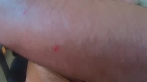 brainrrawtt online show from 03.11.25