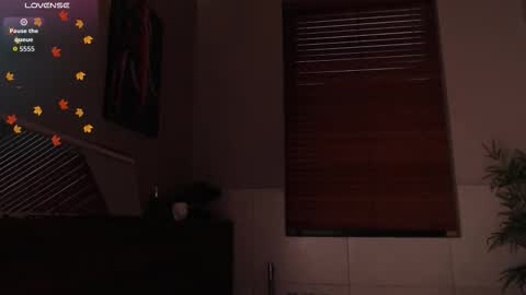 Snapshot of brandon_starkk chatting on 02.23.26 brandon_starkk online show from 02.23.26