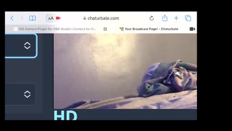 MANTE online show from 11.20.25