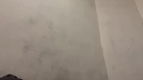 breanexe online show from 10.29.25