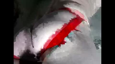 Anal-Prince online show from 11.19.25