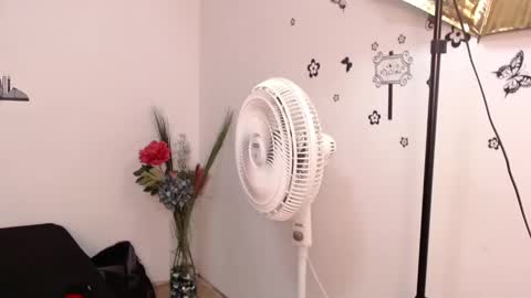 Snapshot of brenda_maz chatting on 01.29.25 Brenda online show from 01.29.25