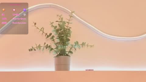 brenda_sky19 online show from 04.15.26