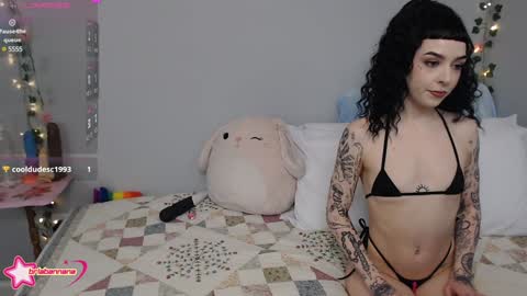 Snapshot of briabannana chatting on 12.12.24 Brianna online show from 12.12.24