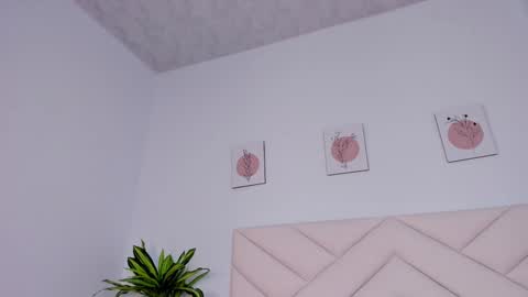   online show from 12.23.24