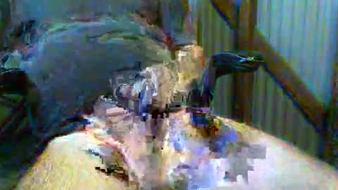 brissy8091 online show from 05.31.26