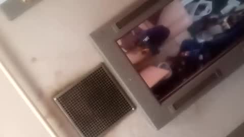 Brobator-gator online show from 03.05.26