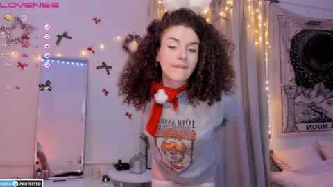 Snapshot of brookchills chatting on 12.26.24 Brook Help me collect 100 reactions online show from 12.26.24