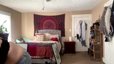 brookieslife online show from 02.12.26