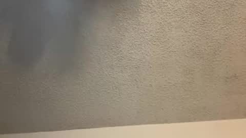 EtherealLilac online show from 02.11.25