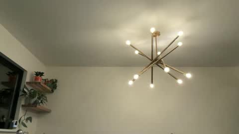 Bruce online show from 04.12.26