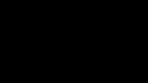 Sasha Brunette online show from 03.01.25