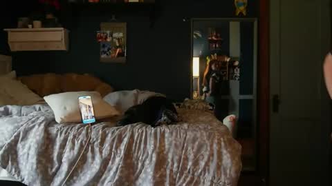 brunettebaby040 online show from 10.24.25