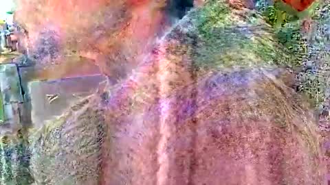 Steve... aka SkinnieDippin aka TimberTramp online show from 04.02.26