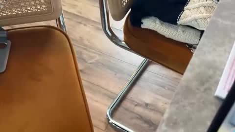 bucky58 online show from 02.16.26