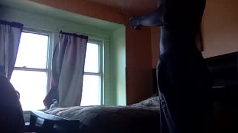 buddylovex online show from 11.04.25