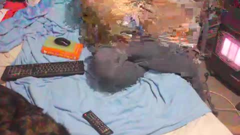 bufu21 online show from 02.02.25