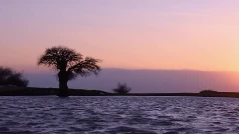 Snapshot of bugphobic chatting on 12.04.25 rskbing online show from 12.04.25