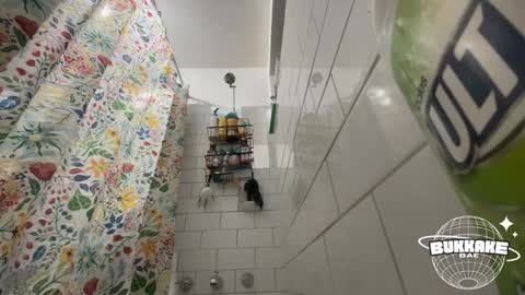 bukkakebae online show from 09.11.25