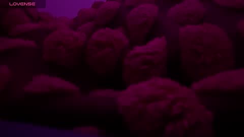 bukkakebae online show from 11.15.25