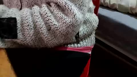 bullspain27266272 online show from 02.05.25