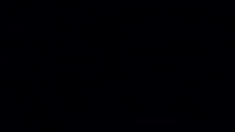 bunniandcryme online show from 11.30.25