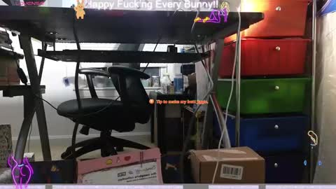 Tokki  bunny  online show from 12.09.24