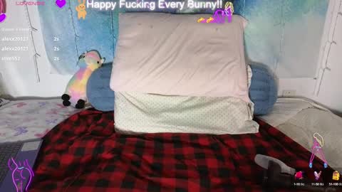 Tokki  bunny  online show from 01.28.25