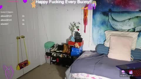 Tokki  bunny  online show from 02.06.25