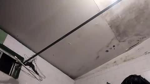 Snapshot of bunnychocolatte151671 chatting on 11.30.25 bunnychocolatte69 online show from 11.30.25