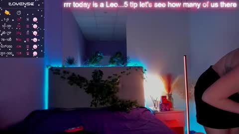 BunnyShows online show from 10.19.25