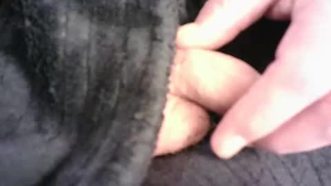 Hamish online show from 03.16.26